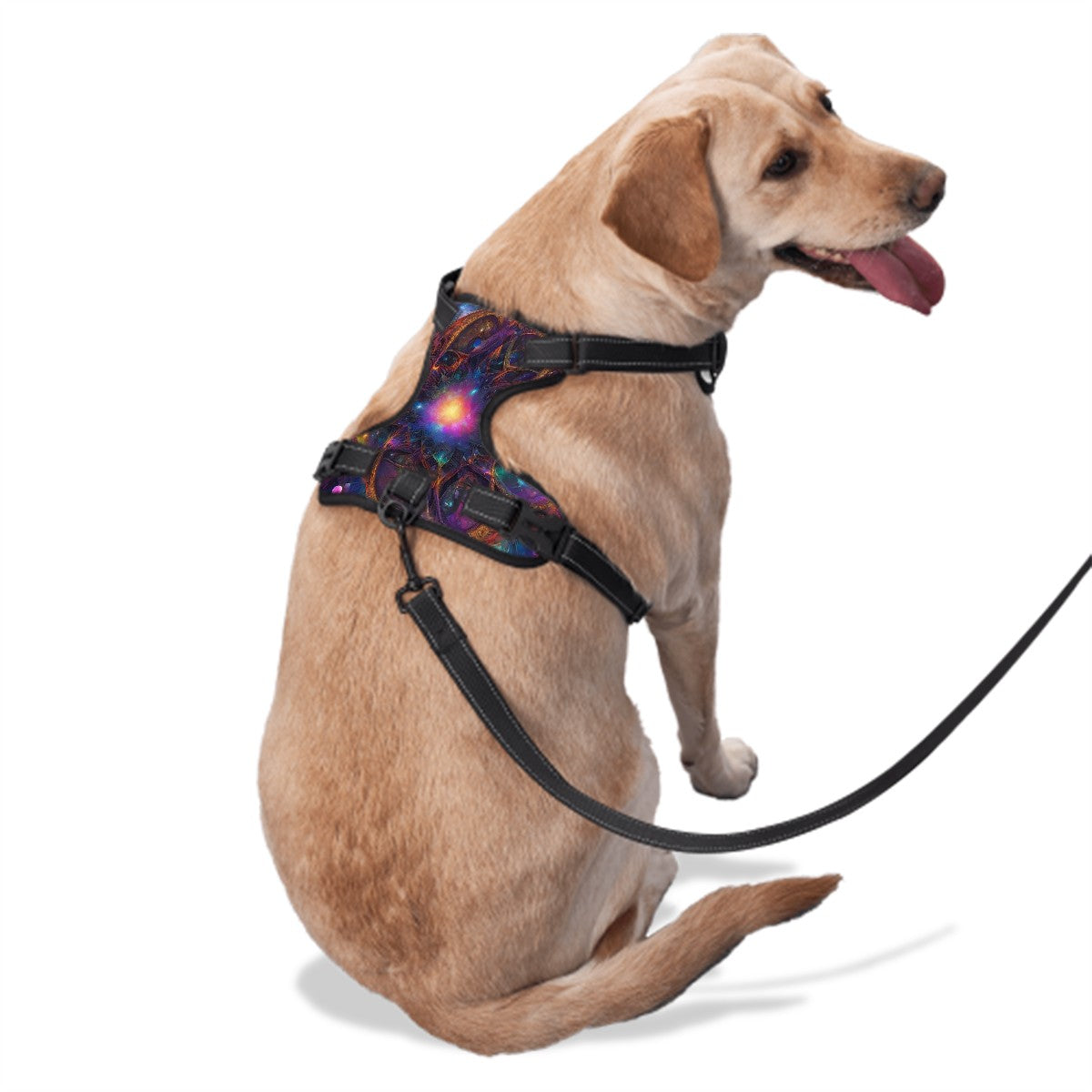 Ascension Pet Harness