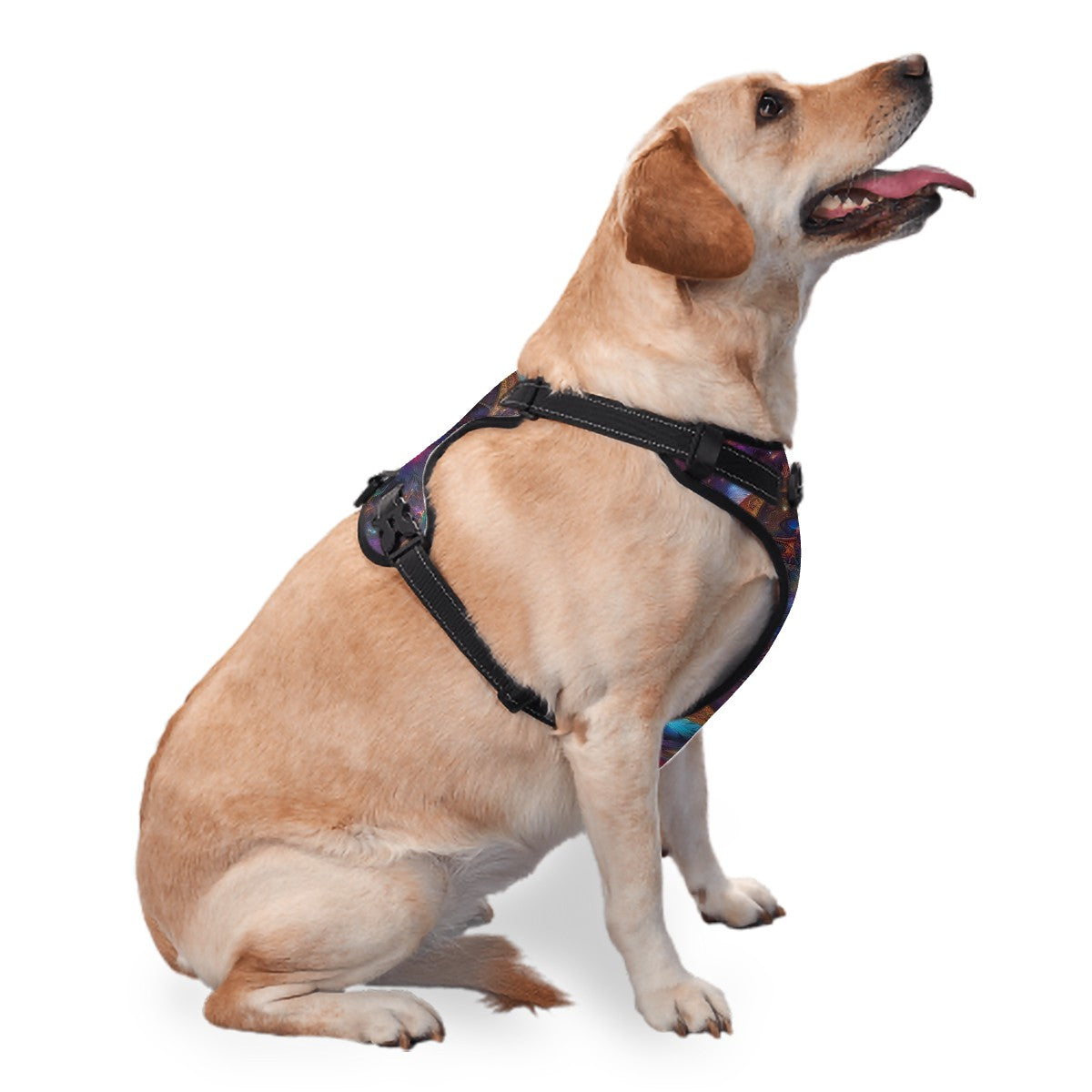 Ascension Pet Harness