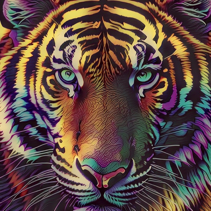 Tiger Eyez