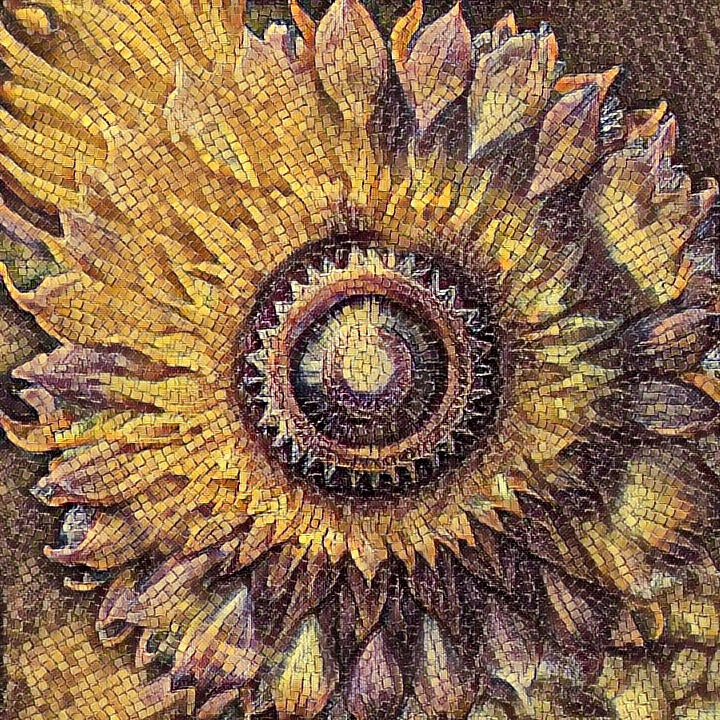 Sun Burst