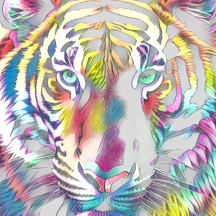 Tiger Eyez