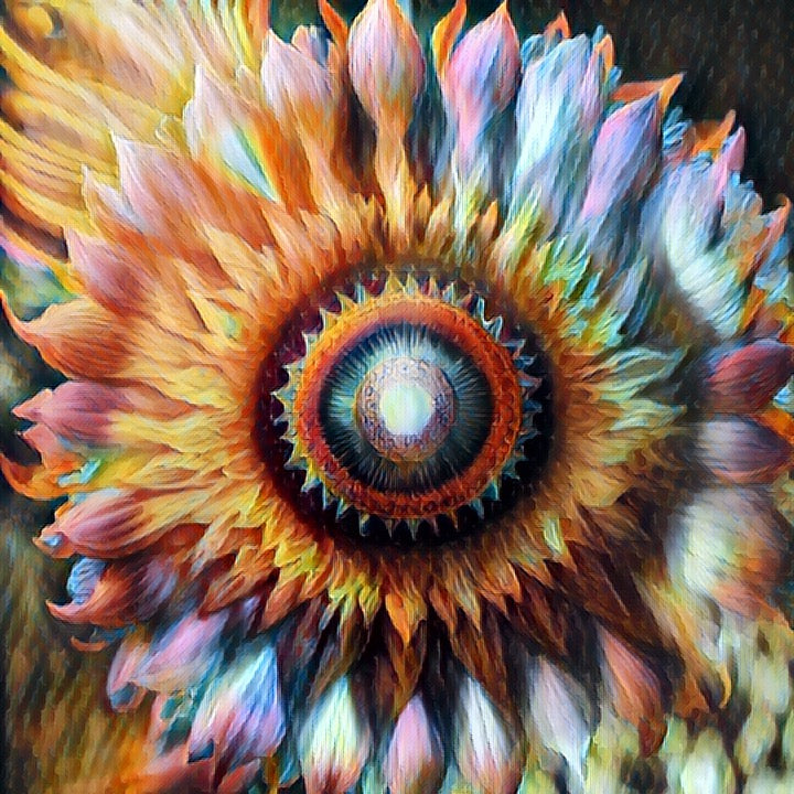 Sun Burst