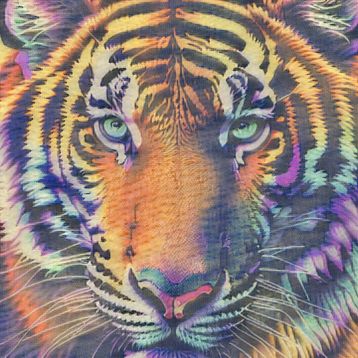 Tiger Eyez