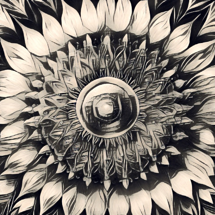 Flower Mandala Part 2
