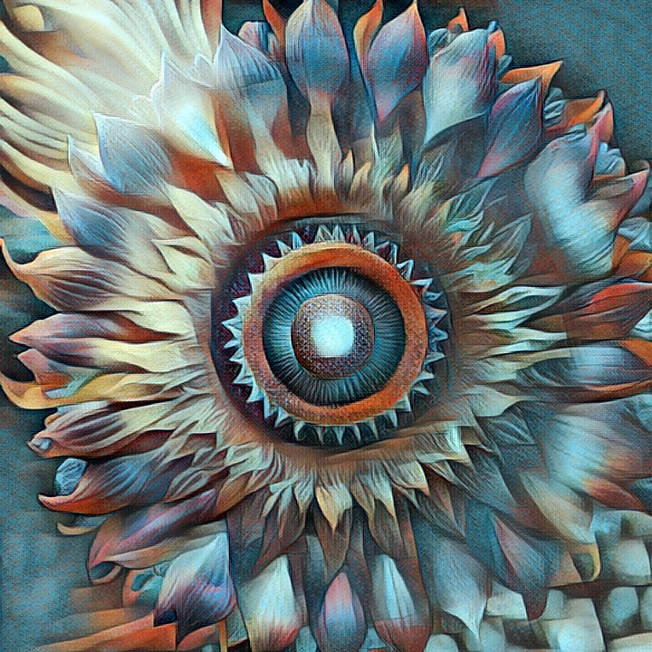 Sun Burst