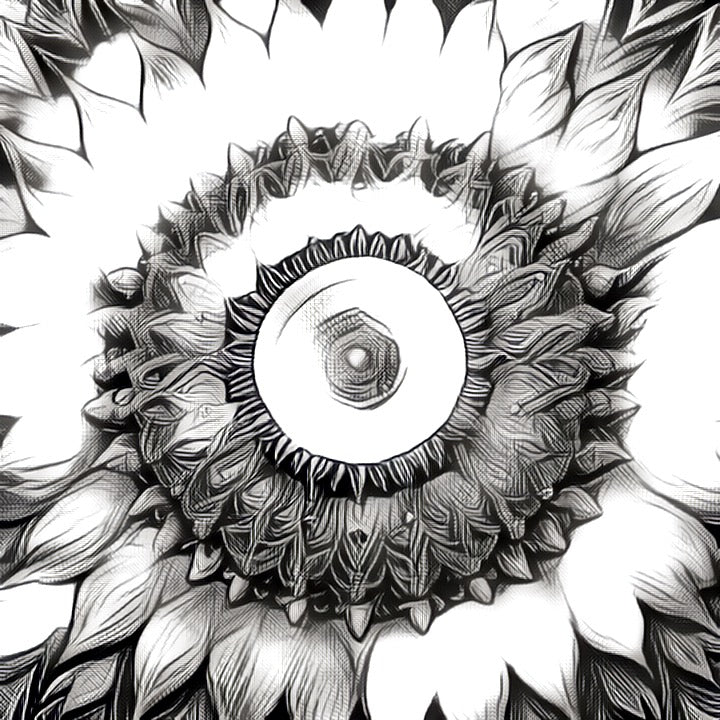 Flower Mandala Part 2