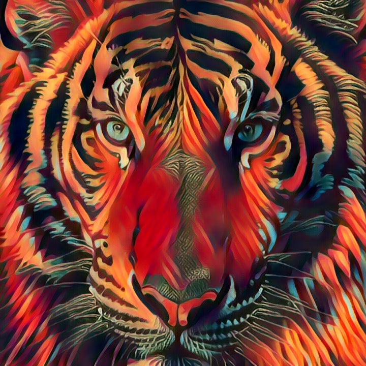 Tiger Eyez