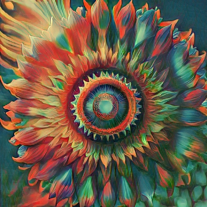 Sun Burst