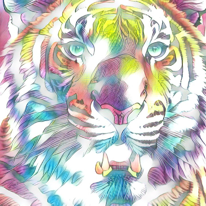 Inner Tiger Part 2