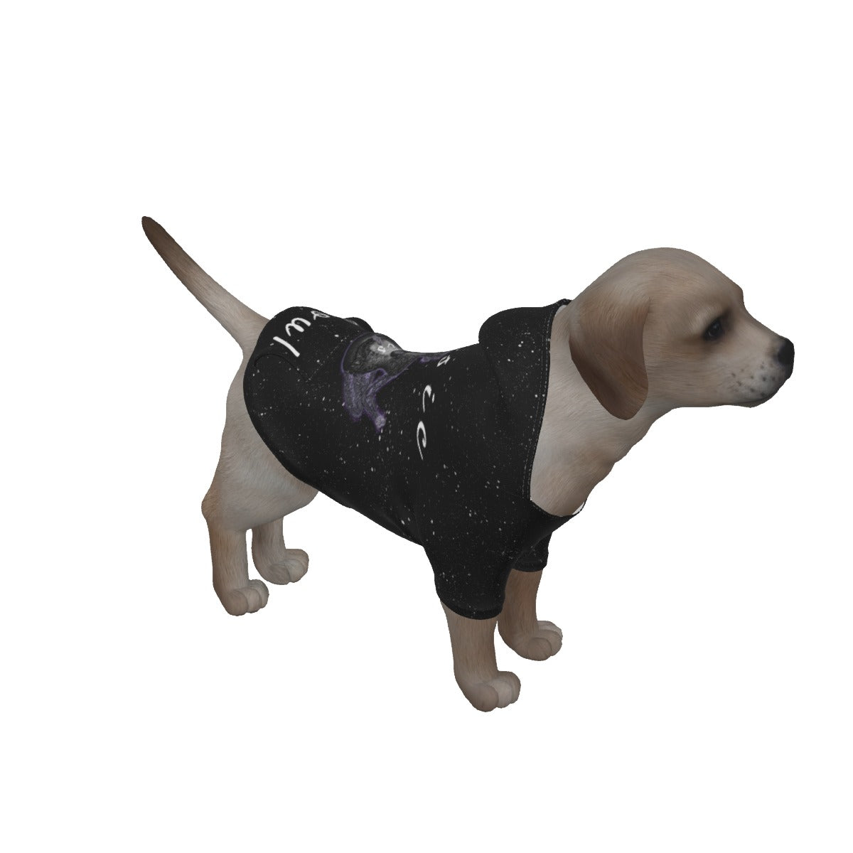 Music is Soul Dog's Pullover Hoodie
