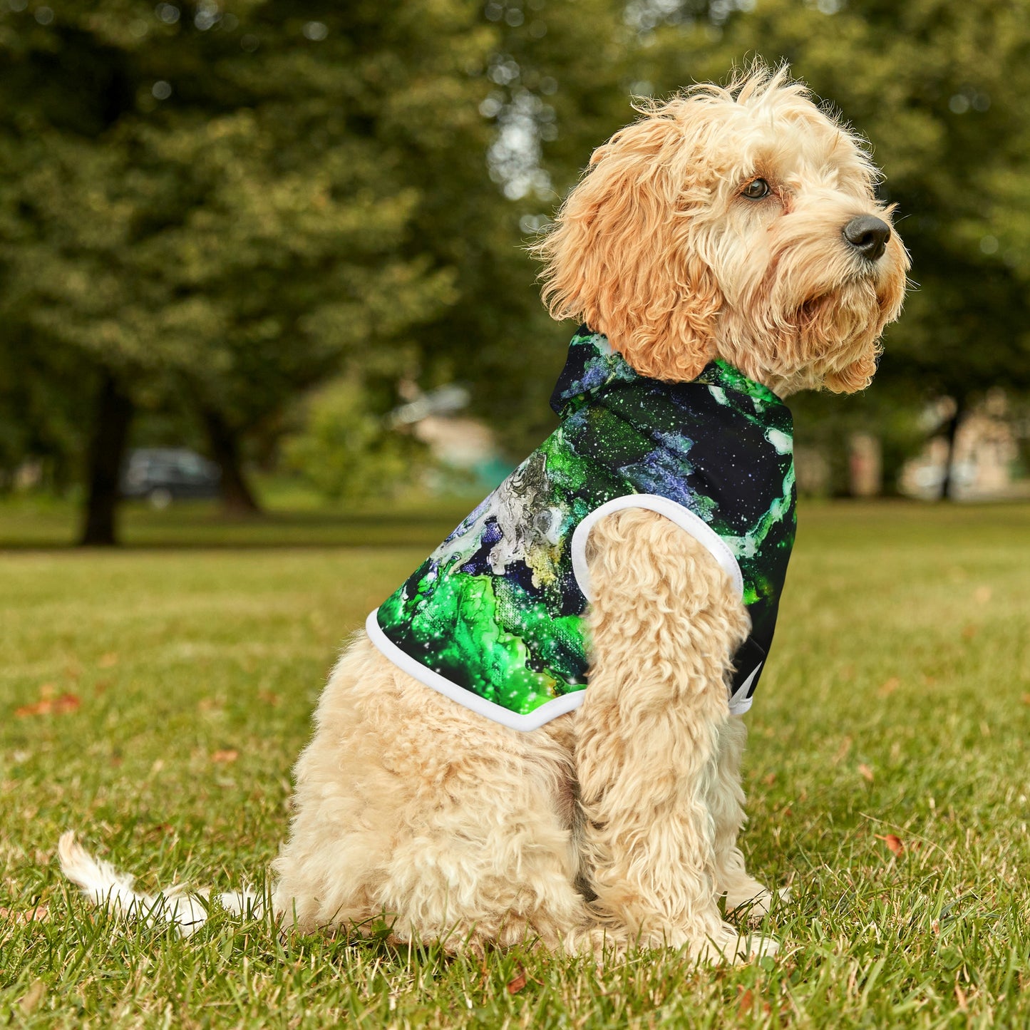 Green Galaxy Dog Hoodie