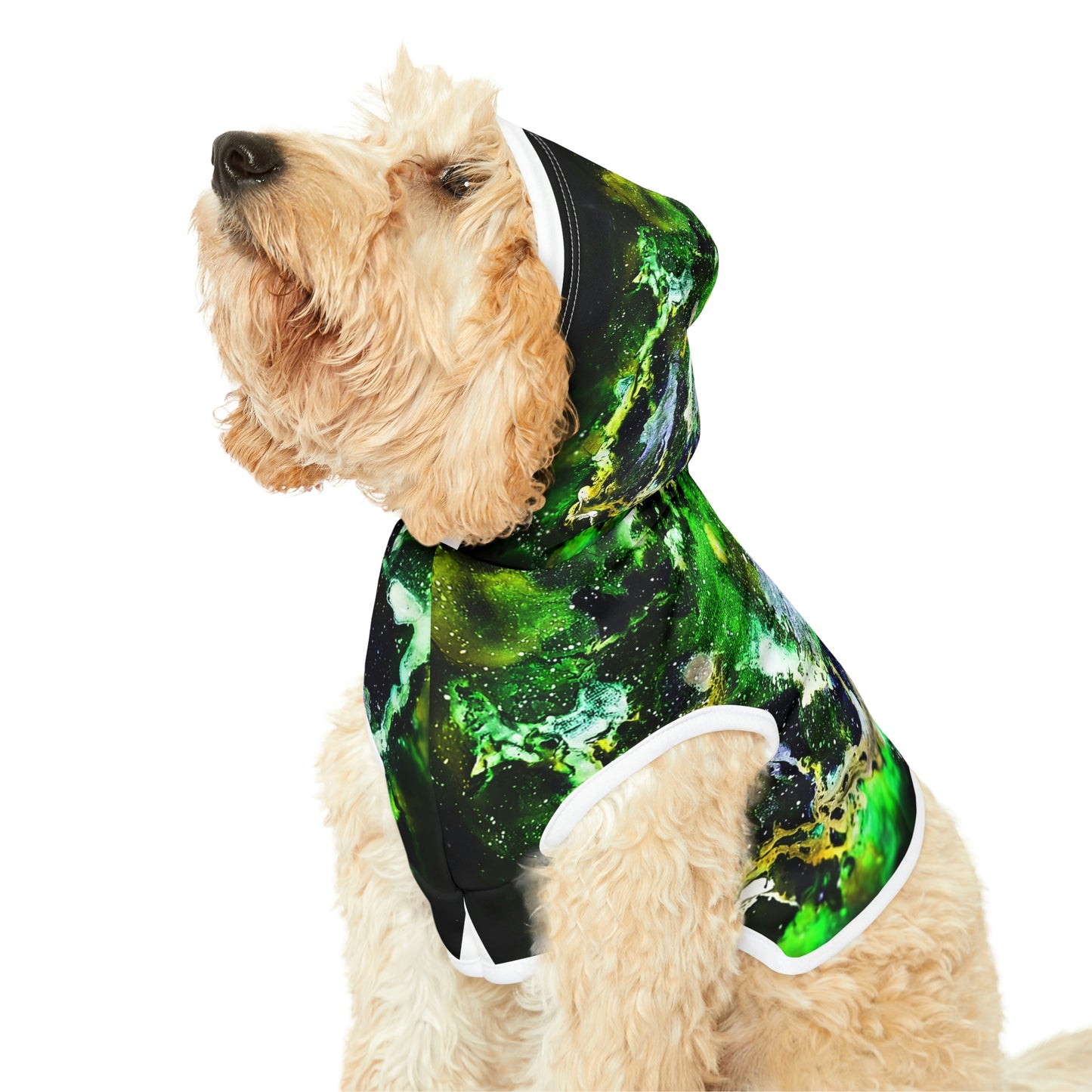Green Galaxy Dog Hoodie