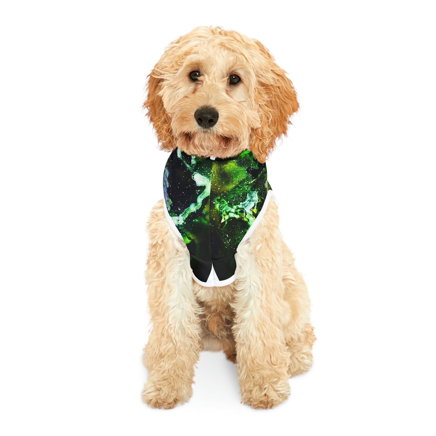 Green Galaxy Dog Hoodie