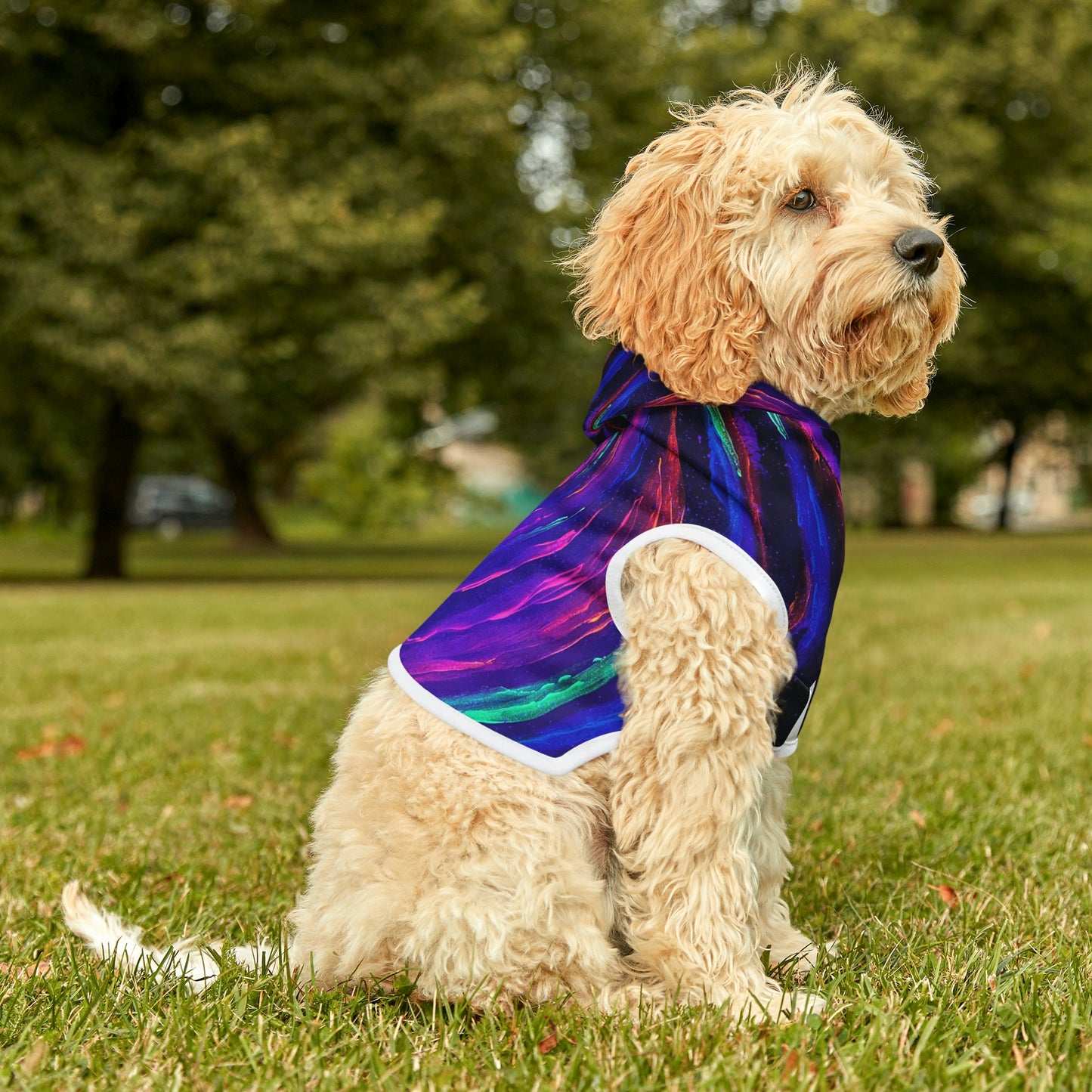 Galactic Rabbit Hole Dog Hoodie