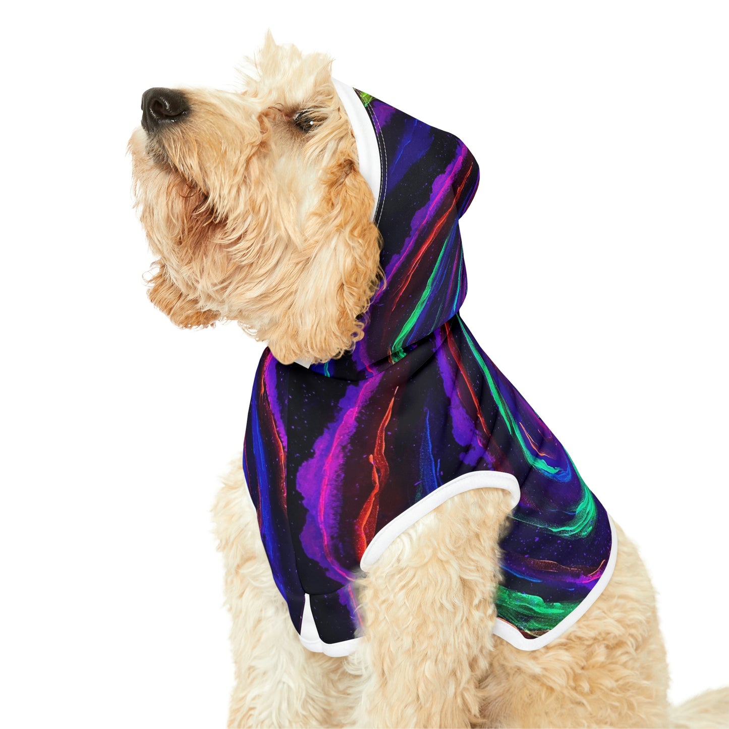 Galactic Rabbit Hole Dog Hoodie