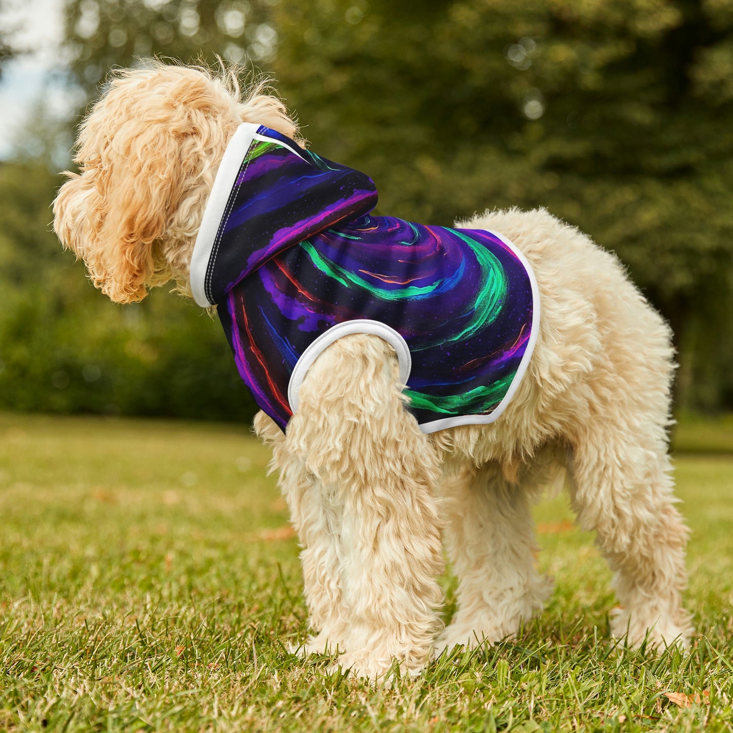 Galactic Rabbit Hole Dog Hoodie