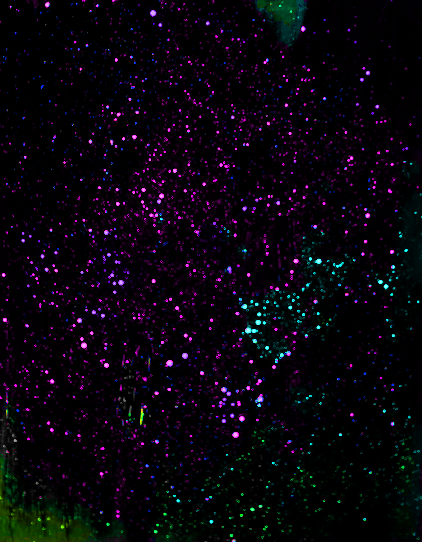Night Sky Party 1-5