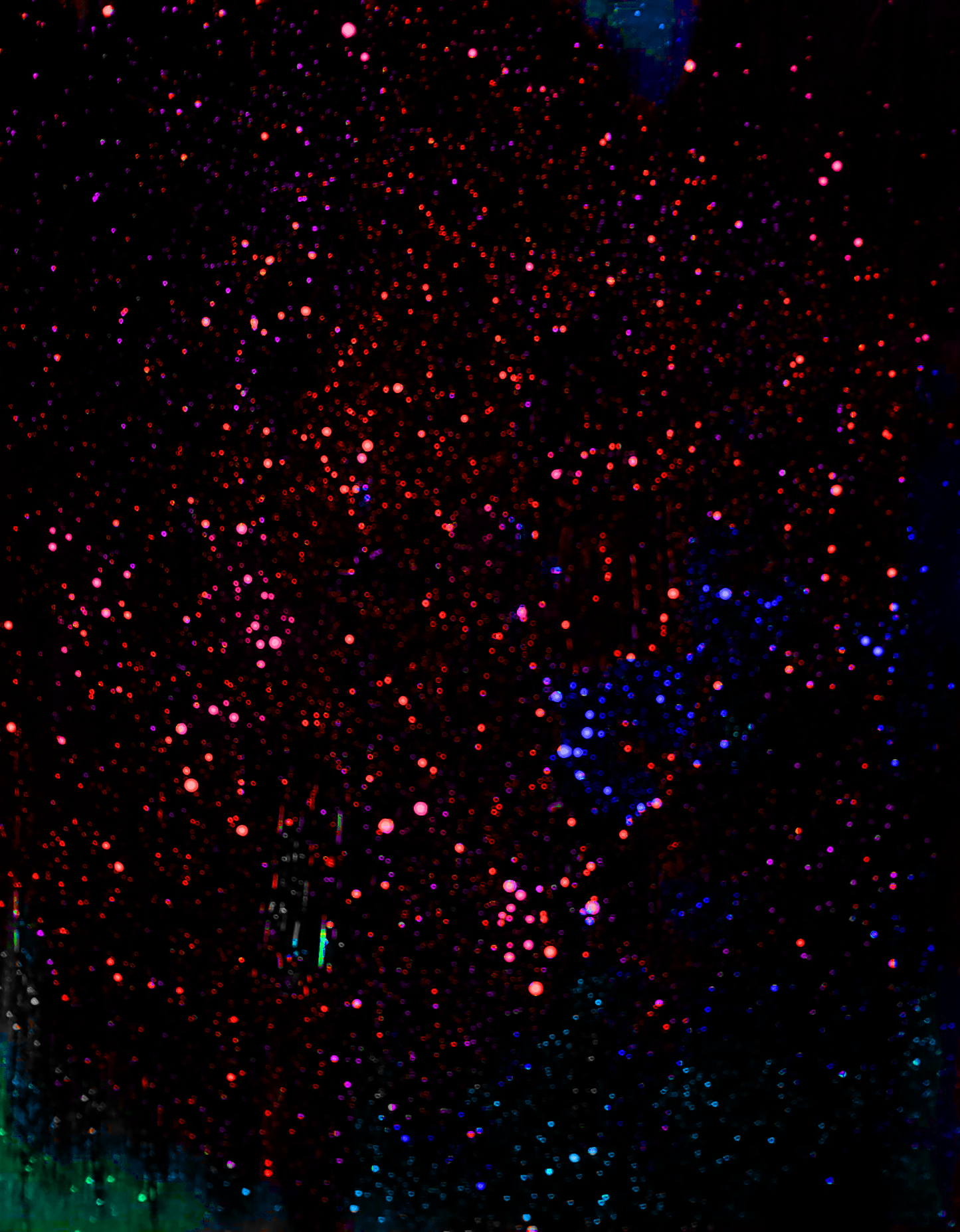 Night Sky Party 1-5
