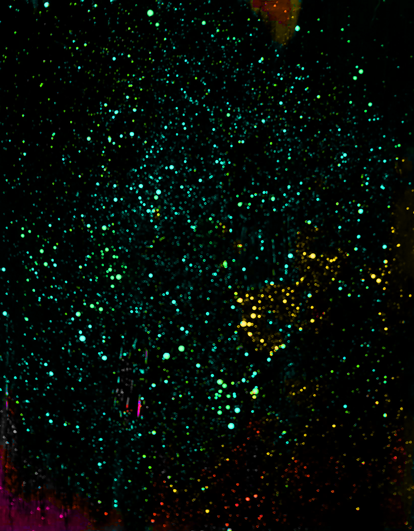 Night Sky Party 1-5