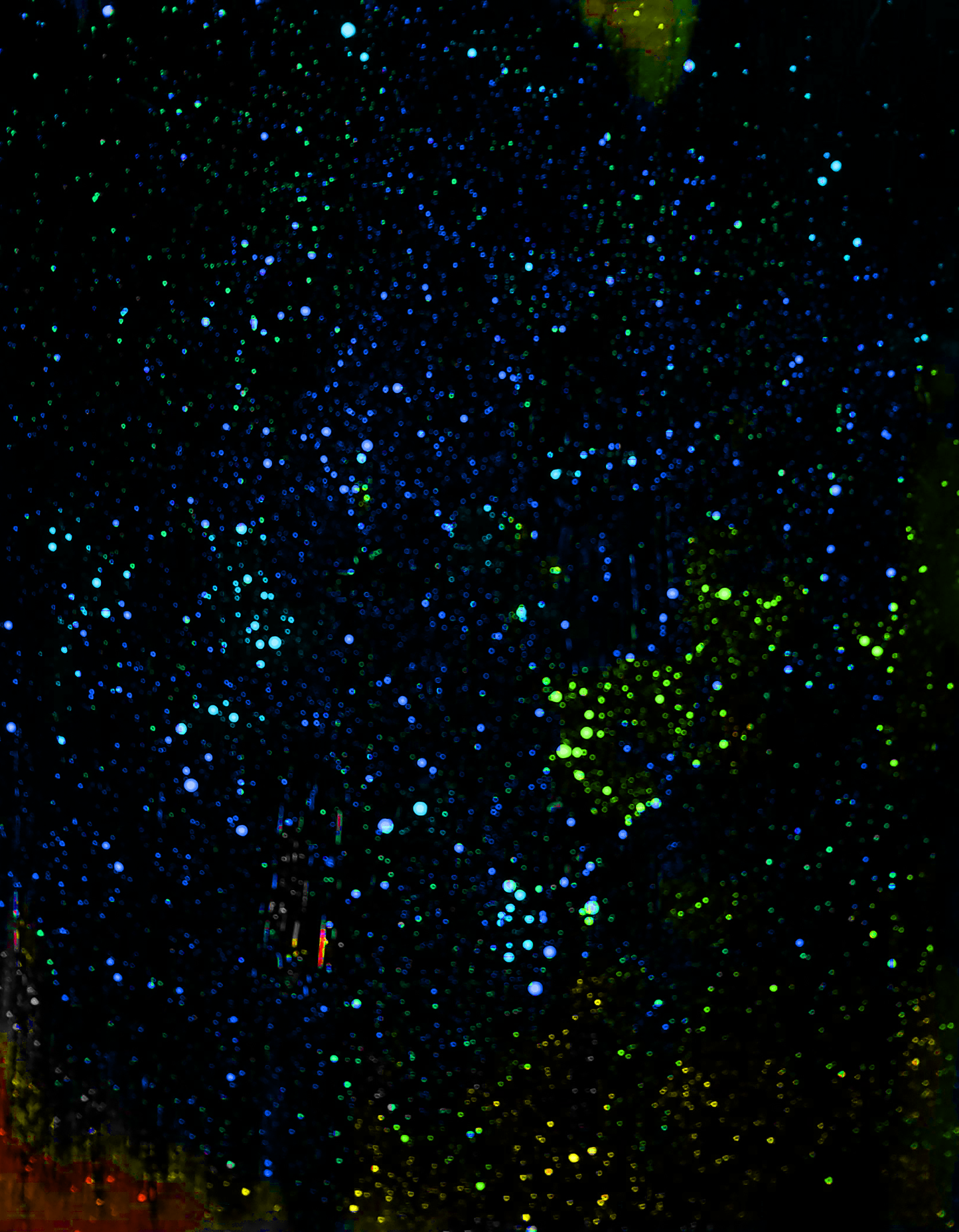 Night Sky Party 1-5