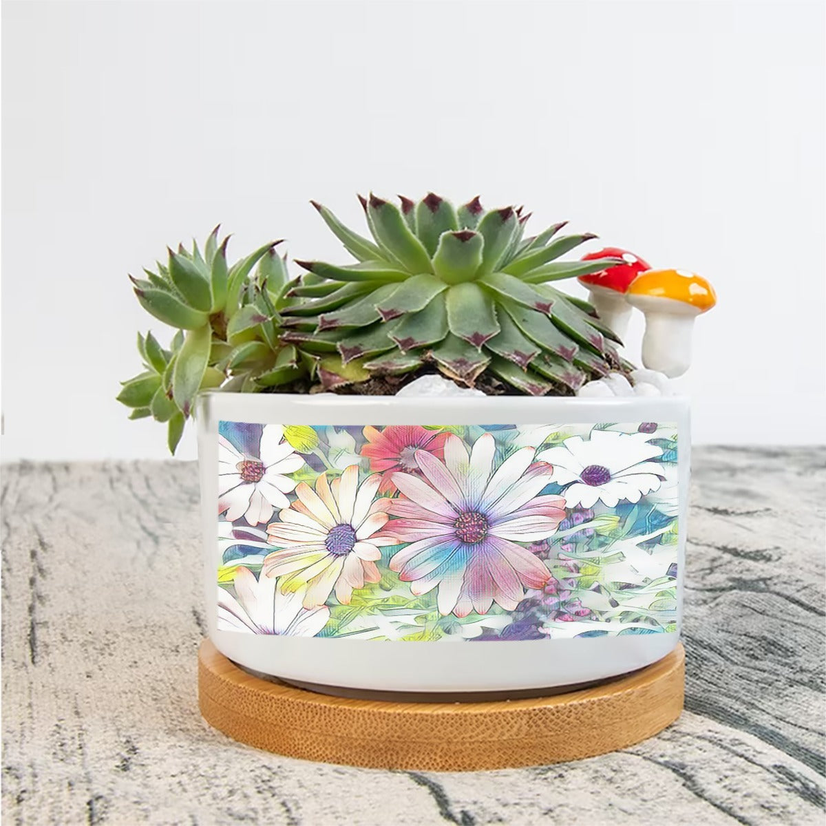 Cartoon Daisies Flowerpot