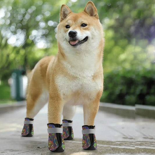 Galactic Explosion Non Slip Dog Socks