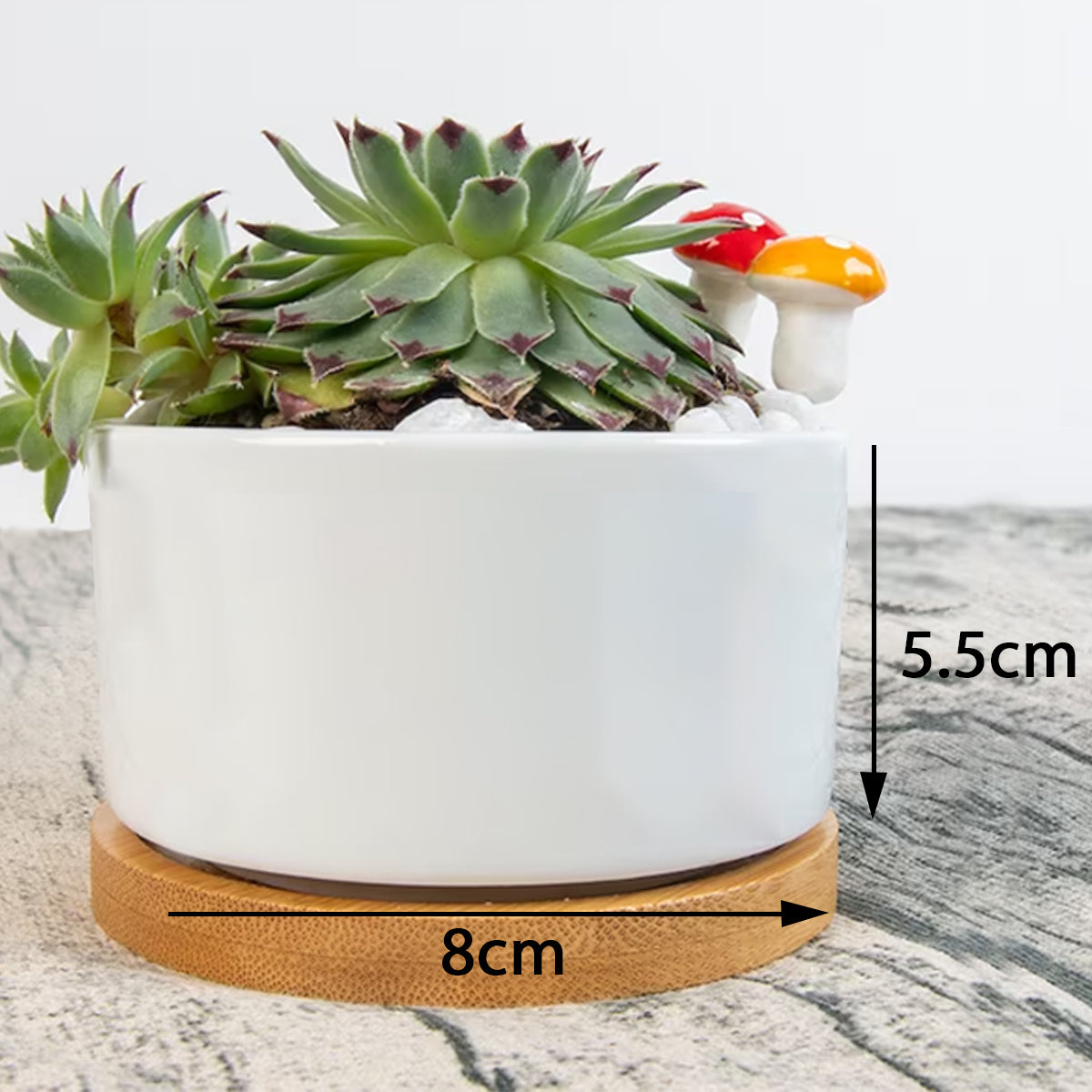 Beach Comber Flowerpot