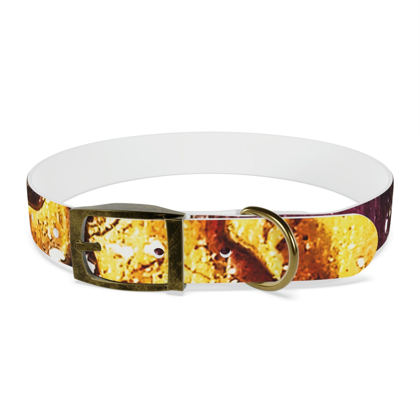 Heaven Meets Universe Dog Collar