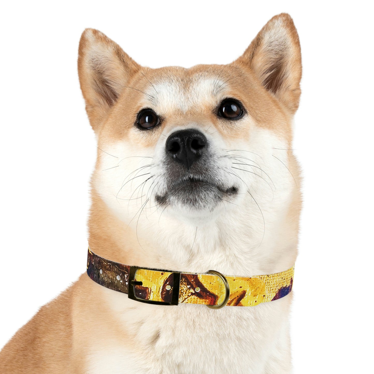 Heaven Meets Universe Dog Collar