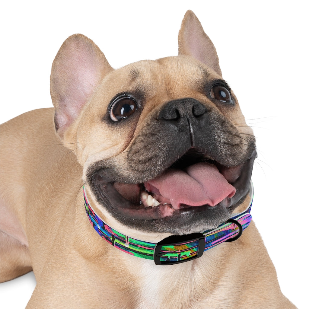 Drip Dog Collar