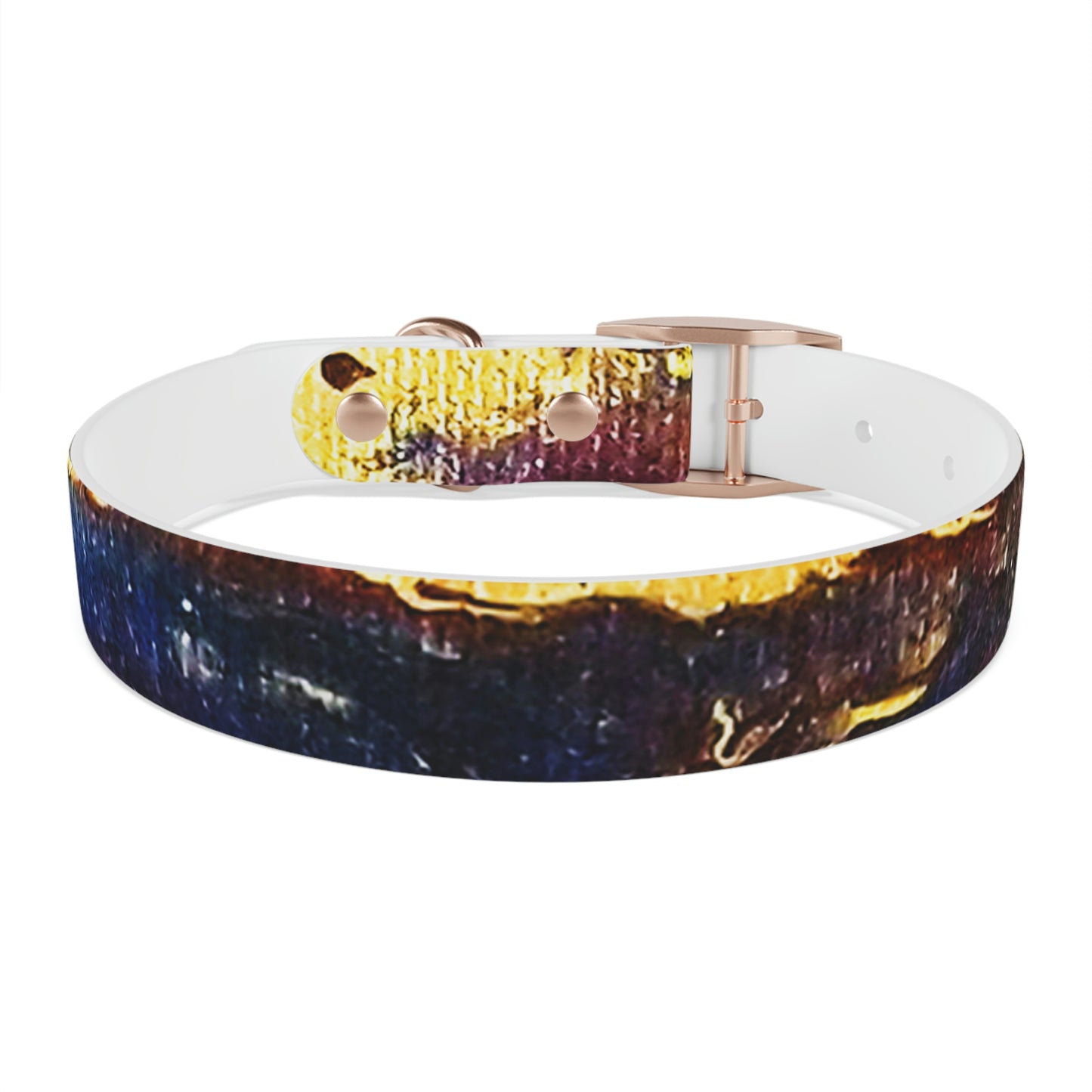 Heaven Meets Universe Dog Collar