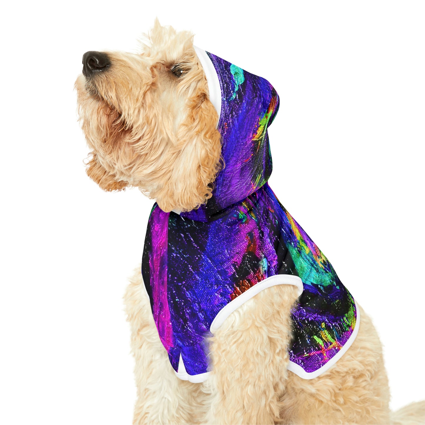 Different Dimensions Dog Hoodie