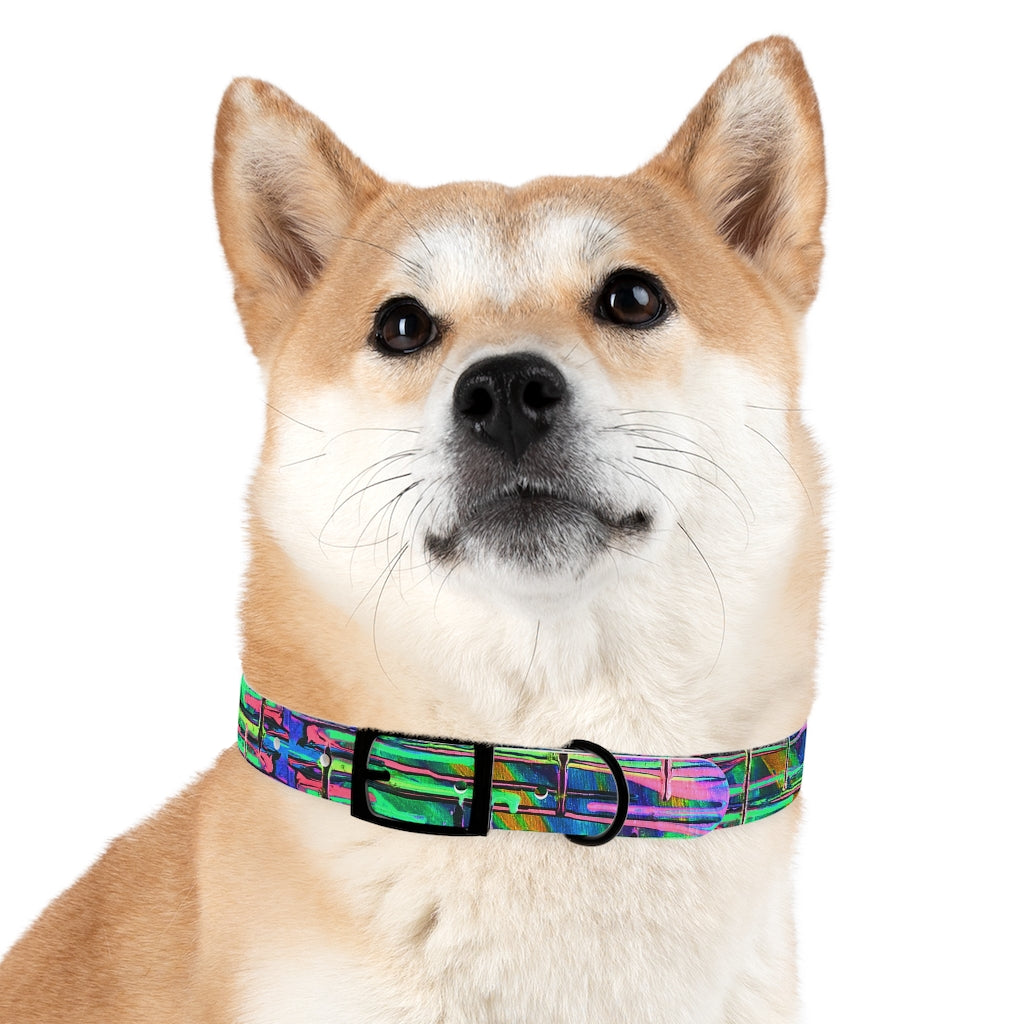 Drip Dog Collar