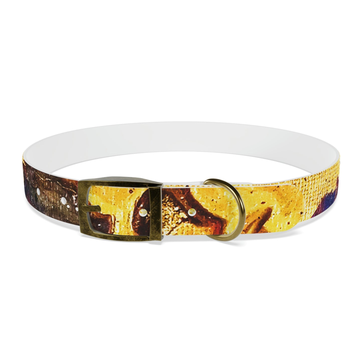 Heaven Meets Universe Dog Collar