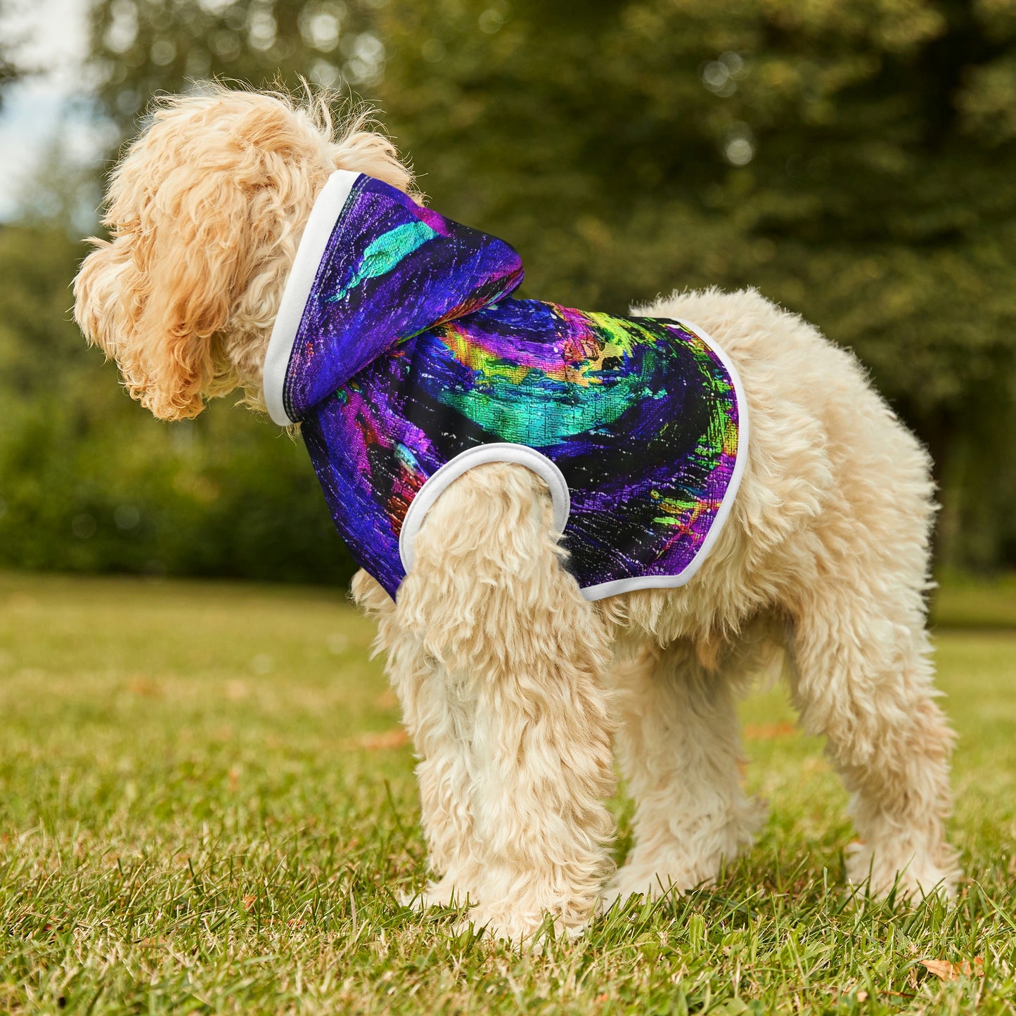 Different Dimensions Dog Hoodie