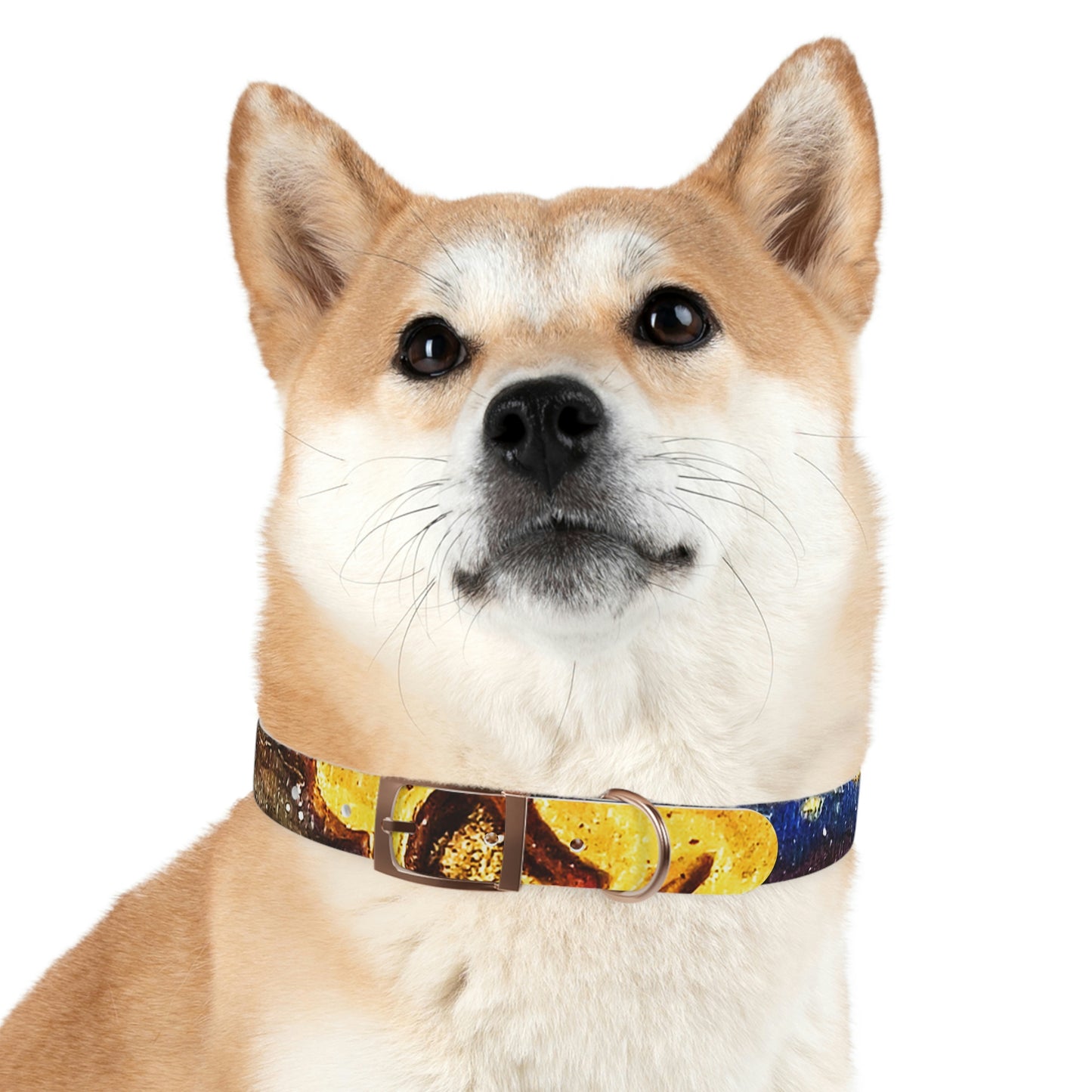 Heaven Meets Universe Dog Collar