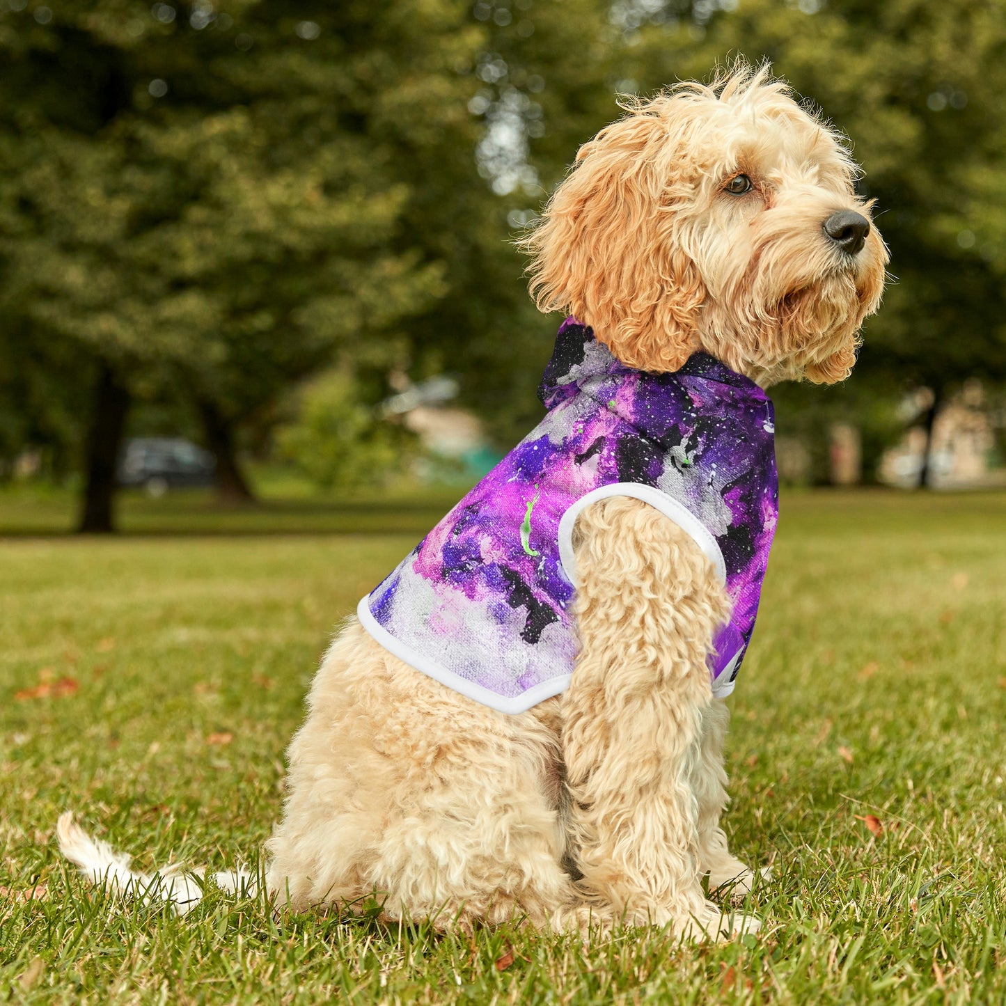 Fly High Dog Hoodie