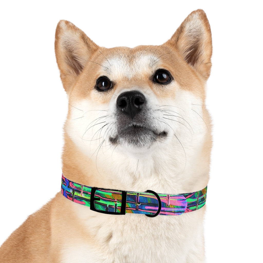 Drip Dog Collar