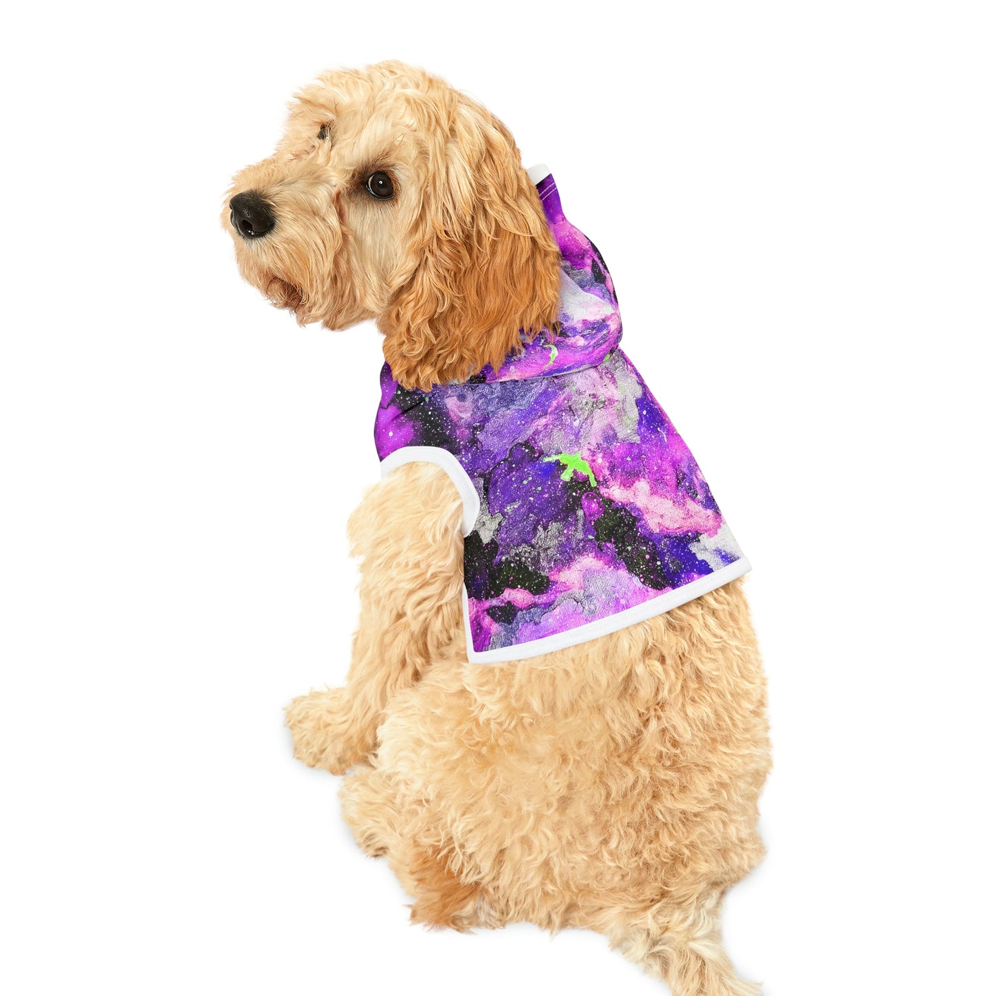 Fly High Dog Hoodie