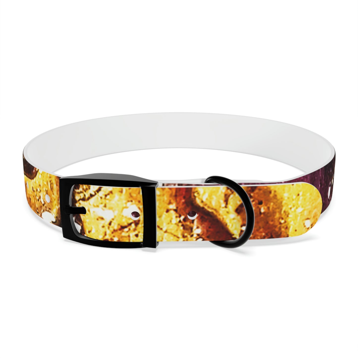 Heaven Meets Universe Dog Collar