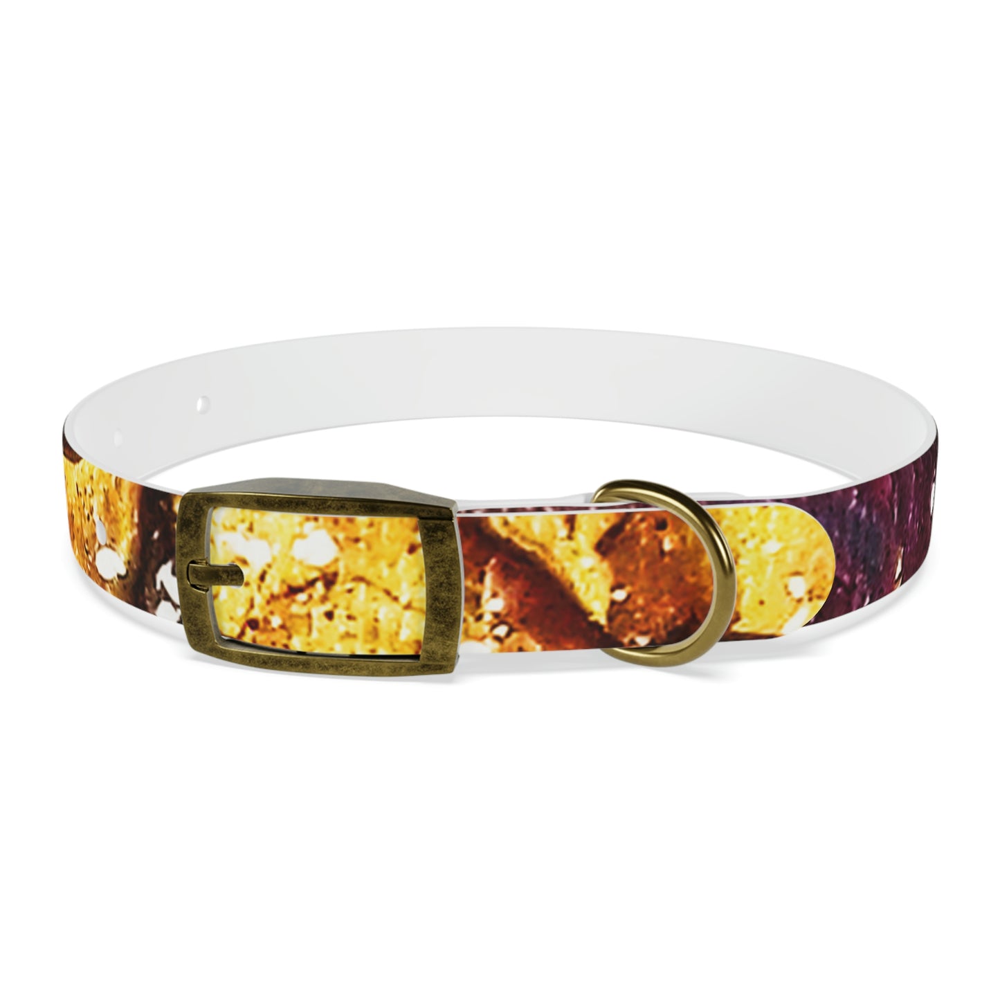 Heaven Meets Universe Dog Collar