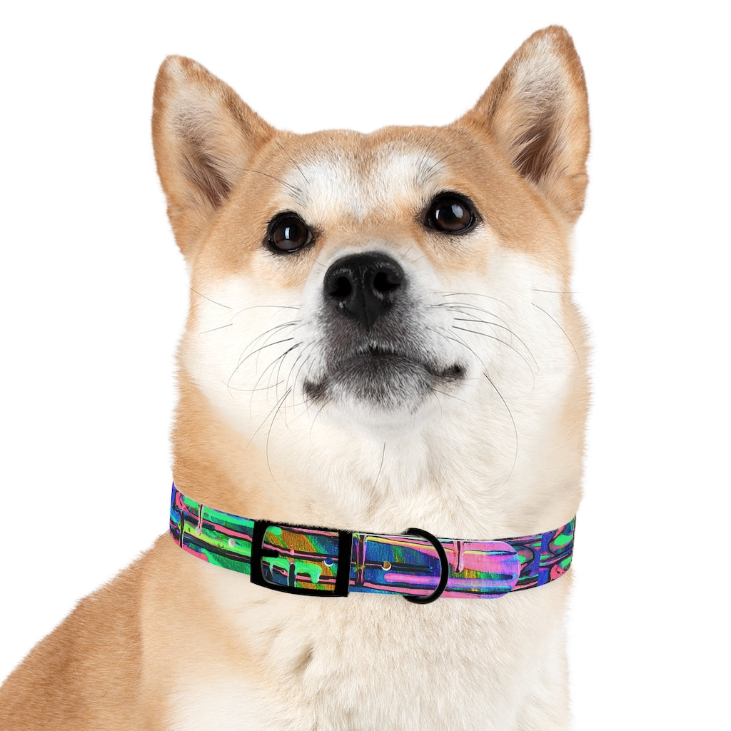 Drip Dog Collar