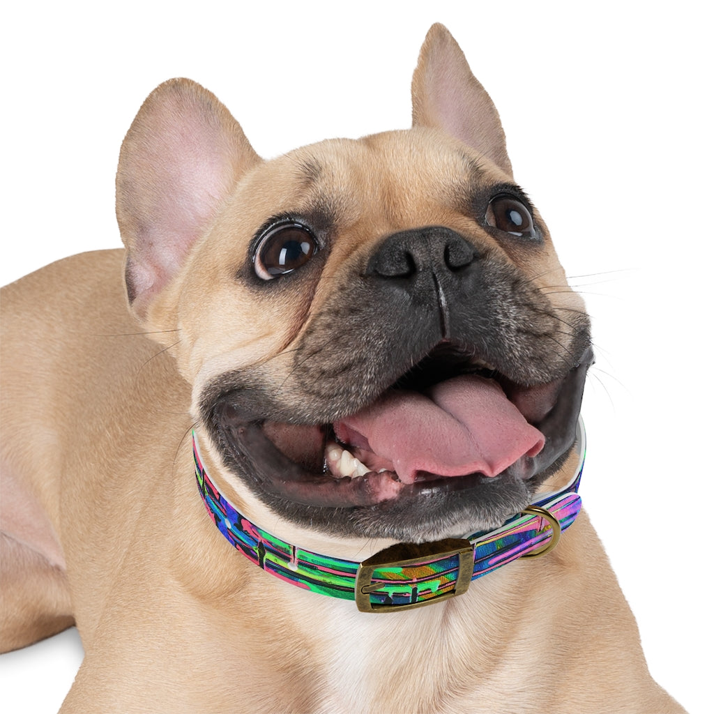 Drip Dog Collar