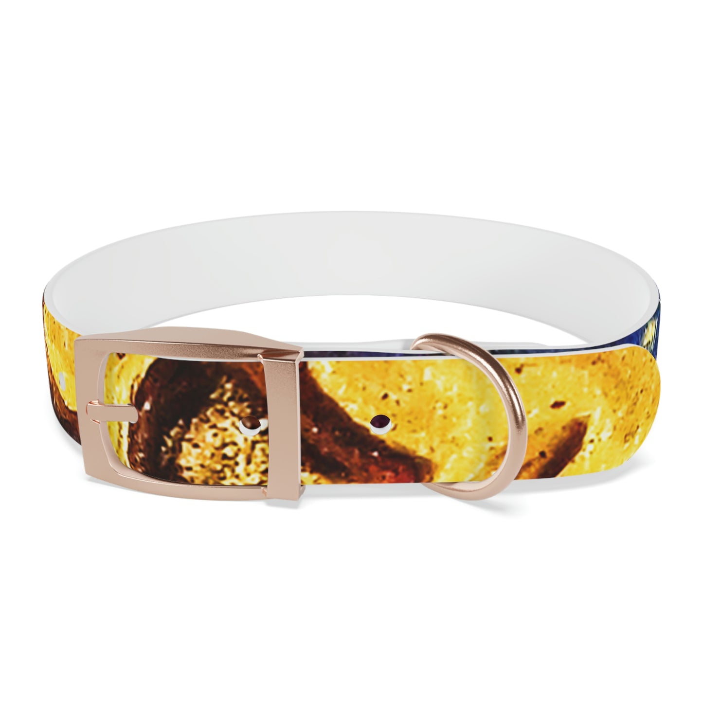 Heaven Meets Universe Dog Collar