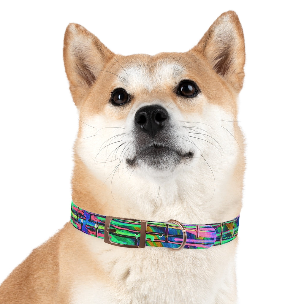 Drip Dog Collar