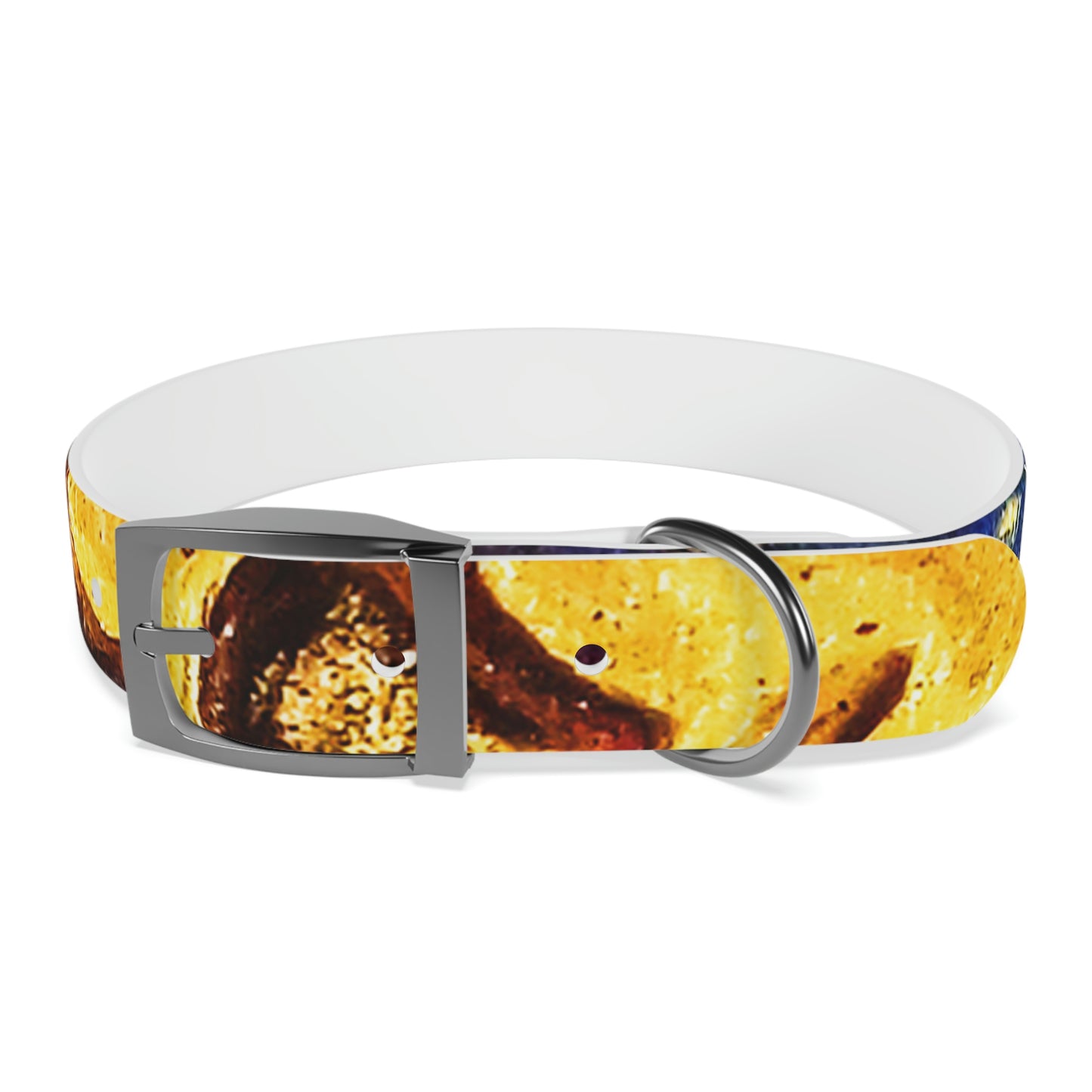 Heaven Meets Universe Dog Collar