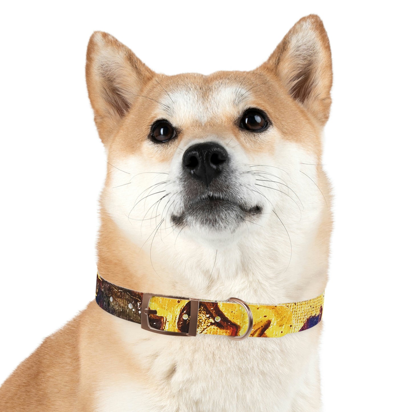 Heaven Meets Universe Dog Collar