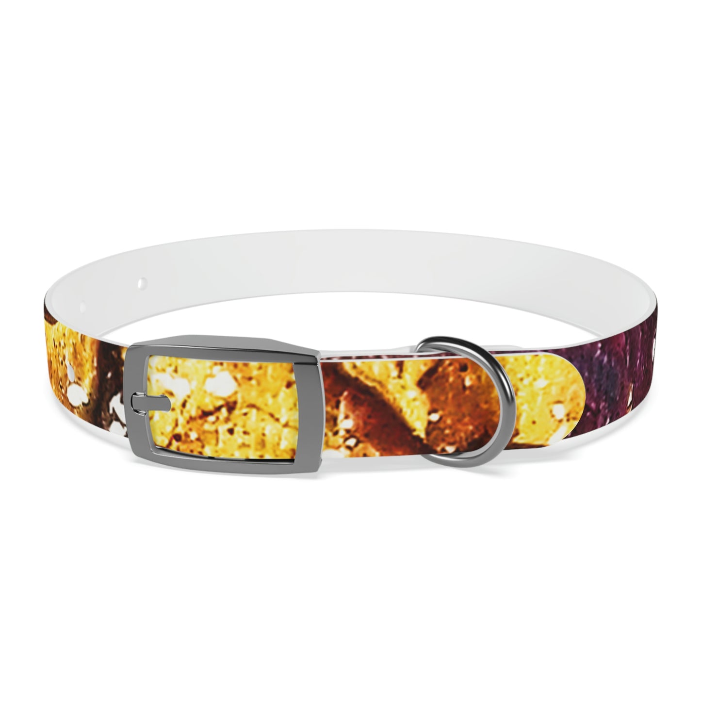 Heaven Meets Universe Dog Collar