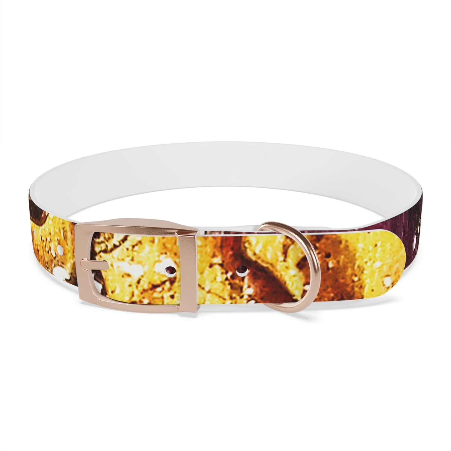 Heaven Meets Universe Dog Collar