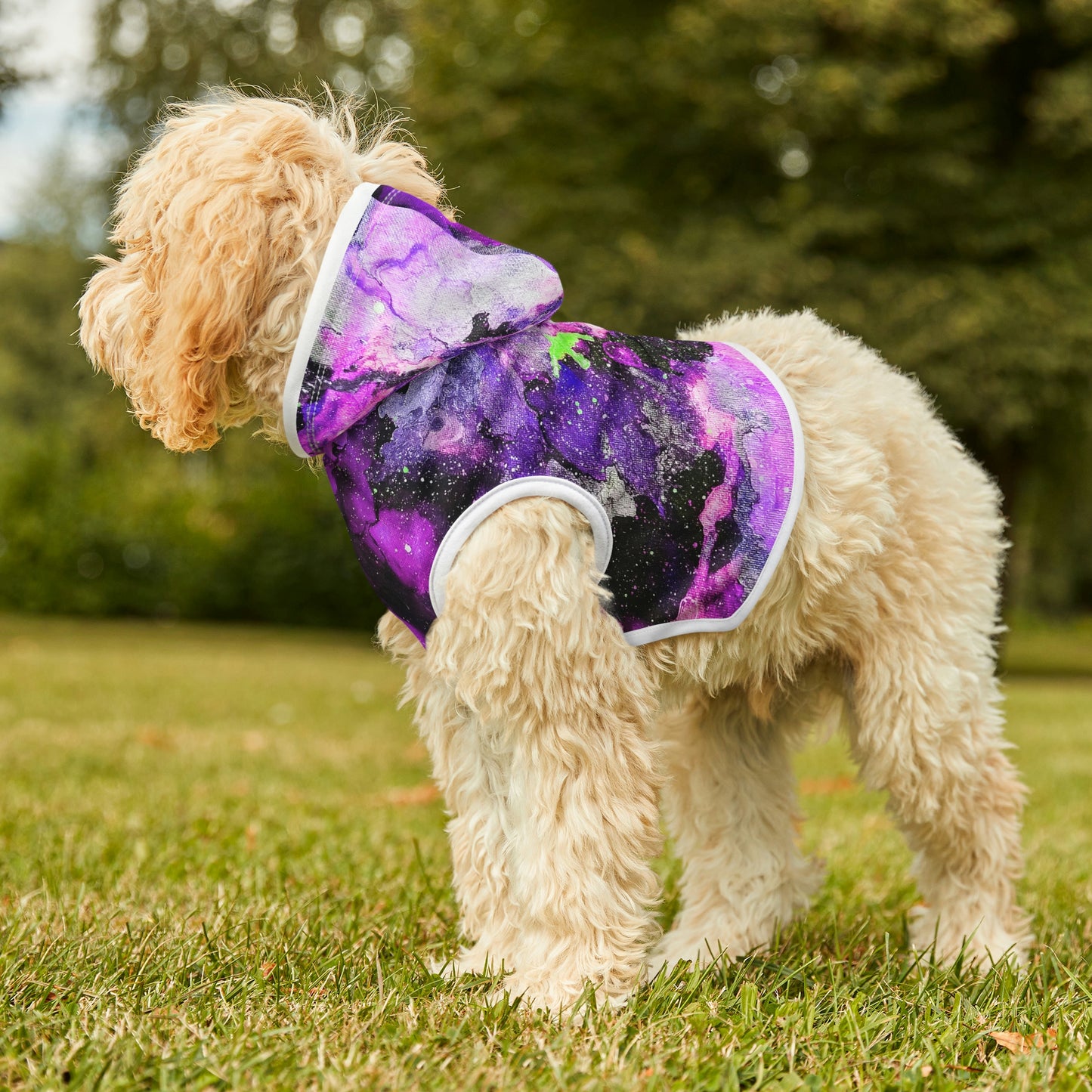 Fly High Dog Hoodie